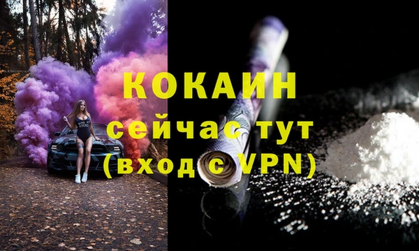 мдпв Сясьстрой