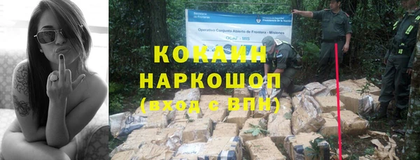 трава Тайга